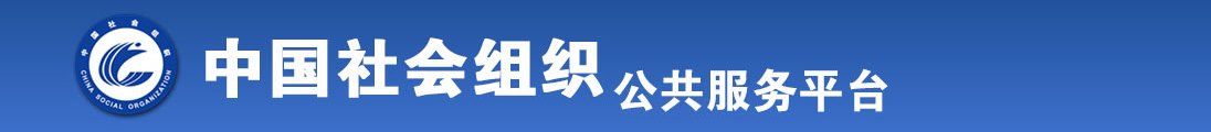 骚批视频全国社会组织信息查询